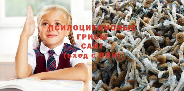 прущие крисы Алексеевка