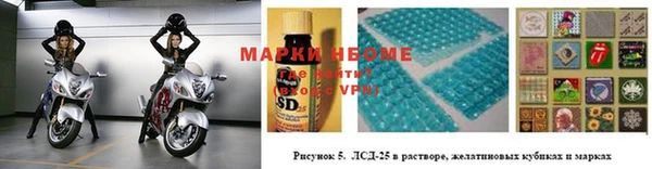 прущие грибы Алзамай