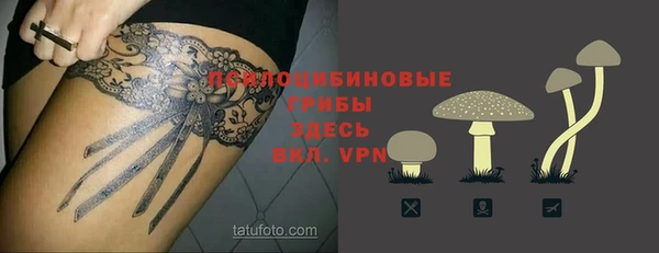 прущие крисы Алексеевка