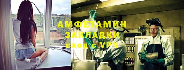 прущие грибы Алзамай