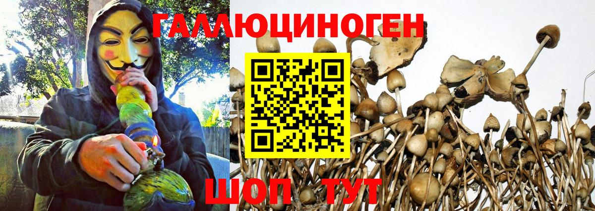 Псилоцибиновые грибы ЛСД Белебей